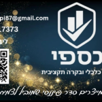 ליבנת כספי