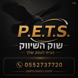 מאור שאער